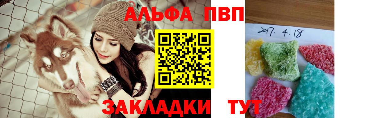Альфа ПВП СК Котлас