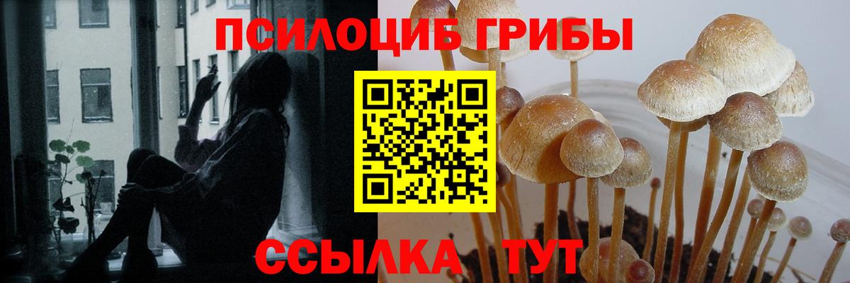 Галлюциногенные грибы Magic Shrooms  Вход с VPN  Котлас 
